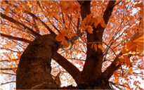 在线手机号压力测试