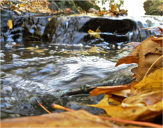 免费信息轰炸机